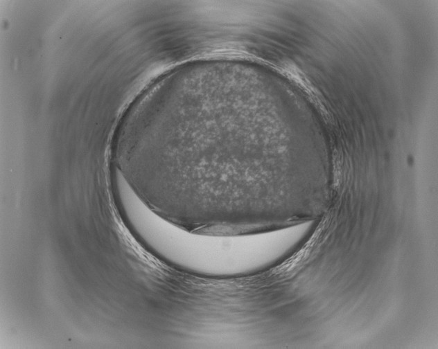 X0000087021422200705071458