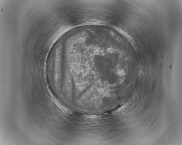 X0000087021423200705071458