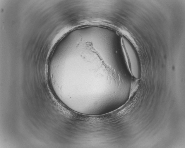 X0000087021424200705071458