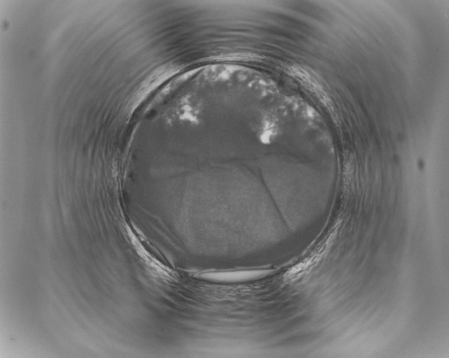 X0000087021425200705071458