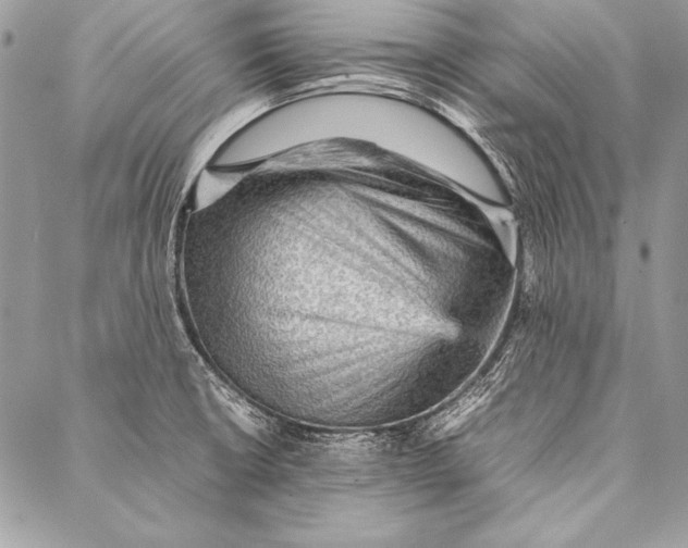 X0000087021426200705071458