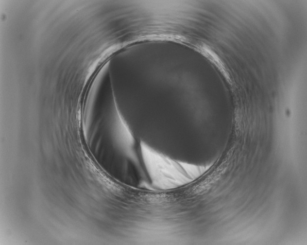 X0000087021428200705071458