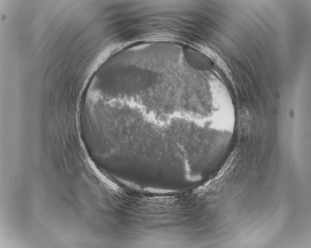 X0000087021429200705071458