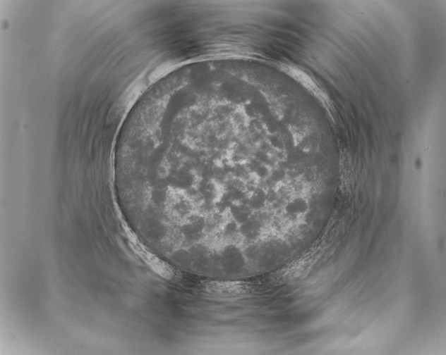 X0000087021431200705071458