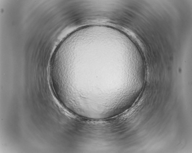 X0000087021432200705071458