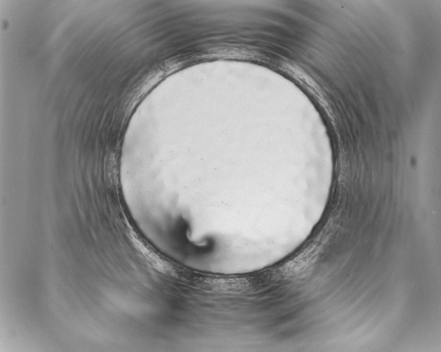 X0000087021433200705071458