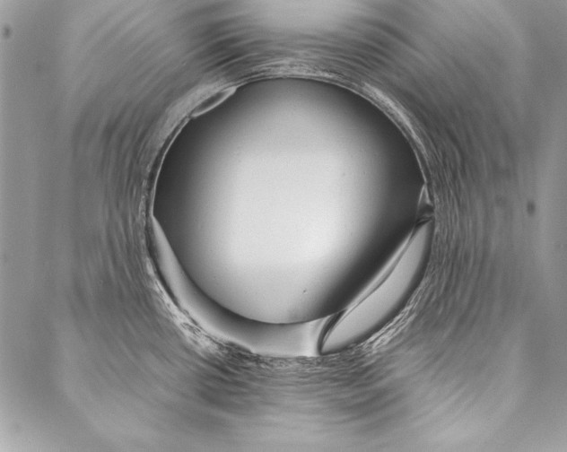 X0000087021434200705071458