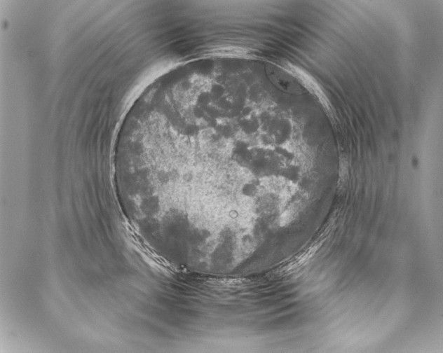 X0000087021435200705071458