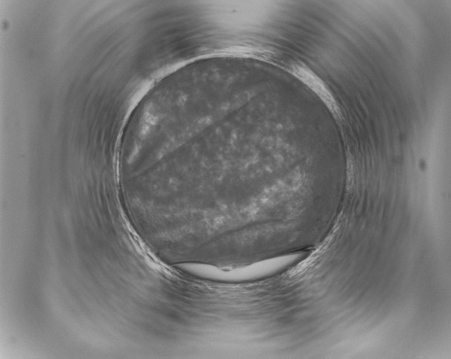 X0000087021436200705071458