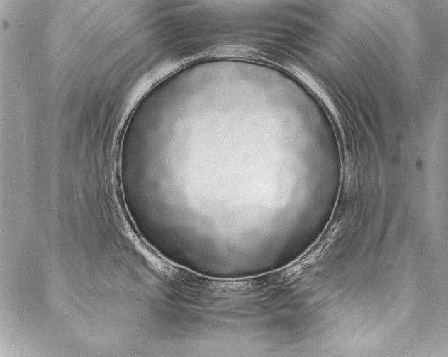 X0000087021437200705071458