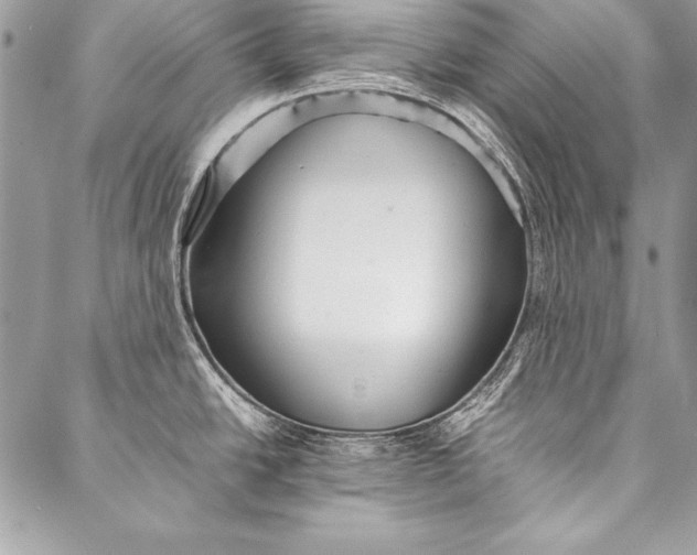 X0000087021438200705071459