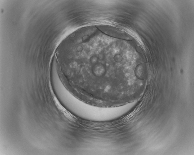 X0000087021439200705071459