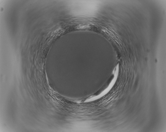 X0000087021441200705071458