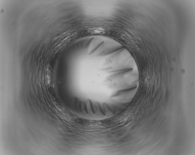 X0000087021442200705071458