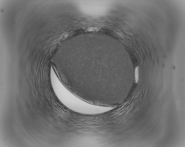 X0000087021443200705071458