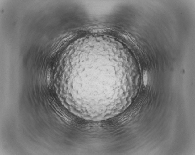 X0000087021444200705071458