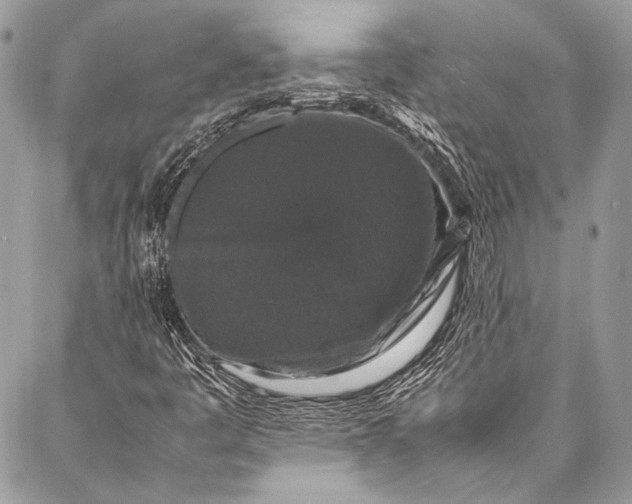 X0000087021445200705071458