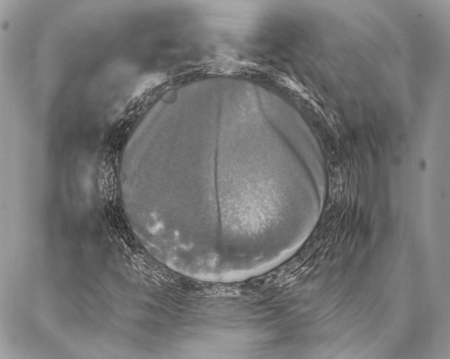 X0000087021446200705071458