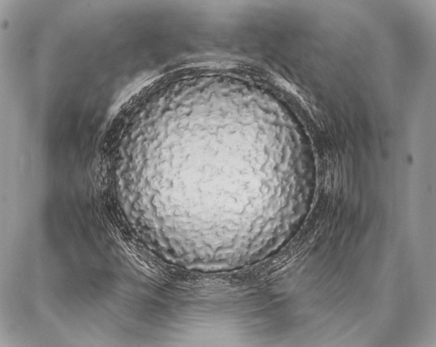 X0000087021448200705071458