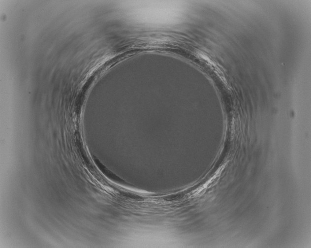 X0000087021449200705071458