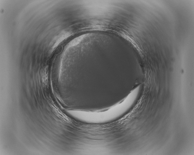 X0000087021450200705071458