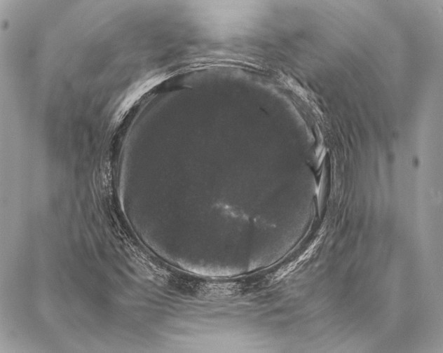 X0000087021453200705071458