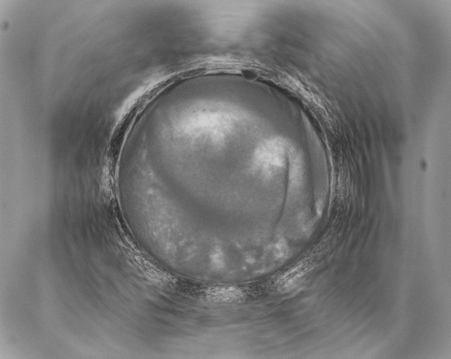 X0000087021454200705071458