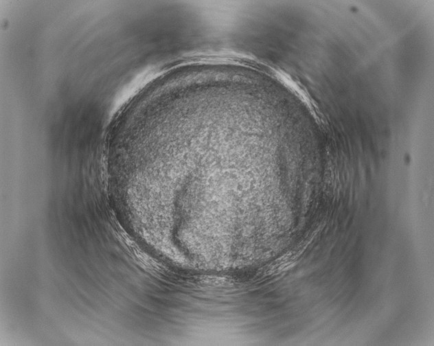 X0000087021456200705071458