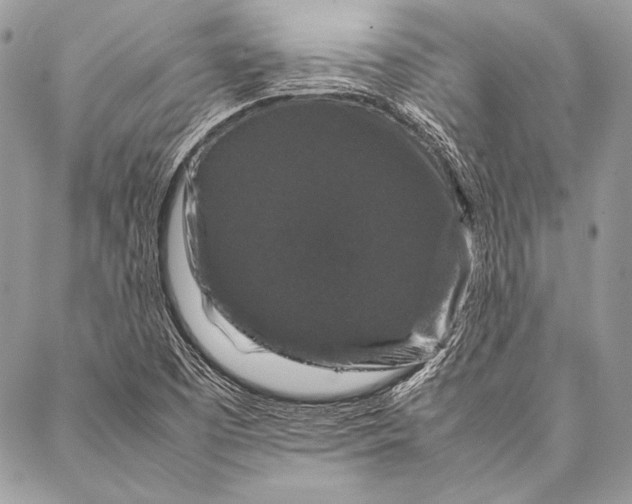 X0000087021457200705071458