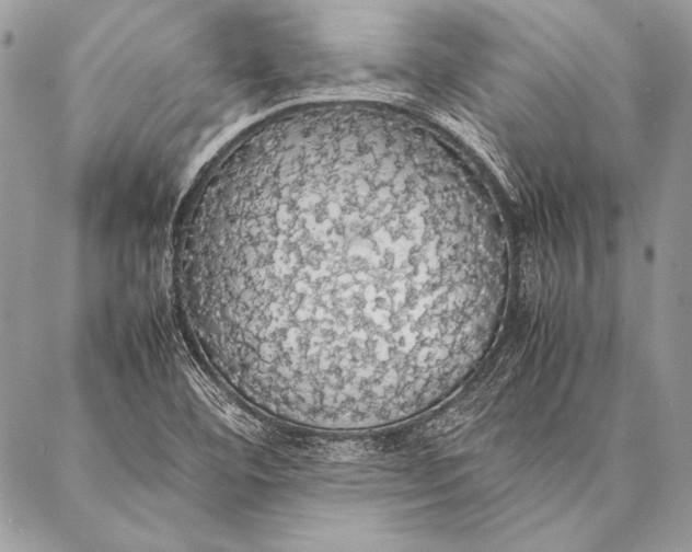 X0000087021460200705071457