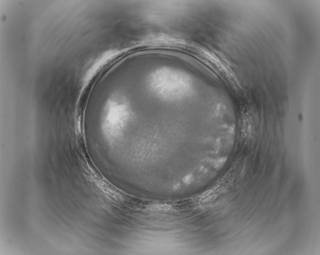 X0000087021462200705071457