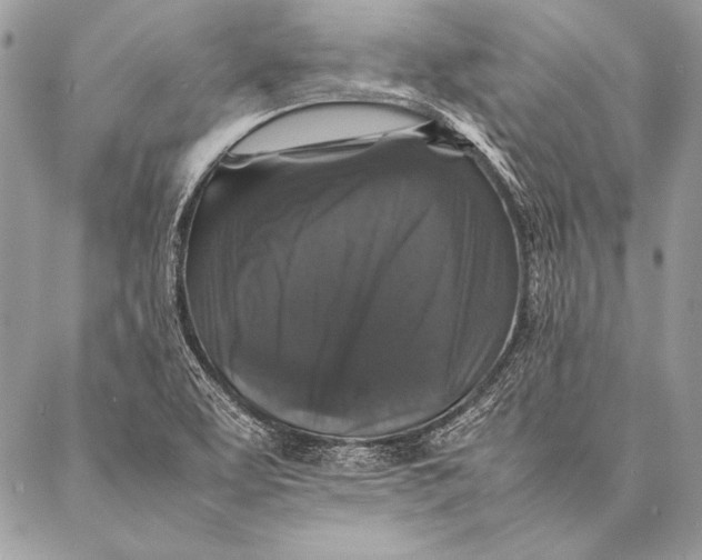 X0000087021463200705071457