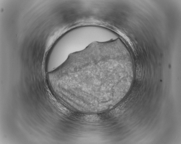 X0000087021464200705071457