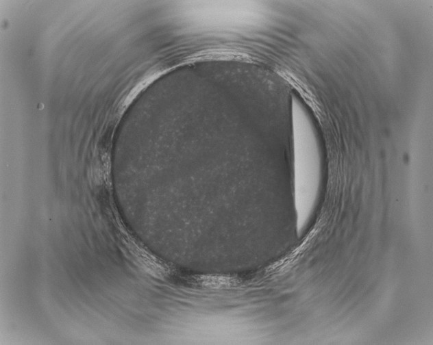 X0000087021465200705071457