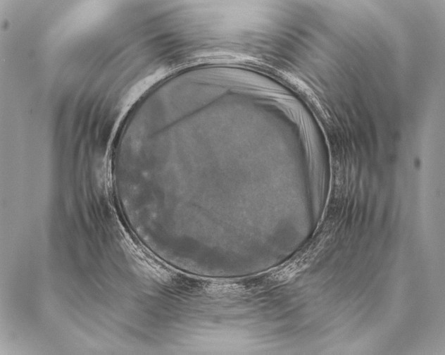 X0000087021466200705071457