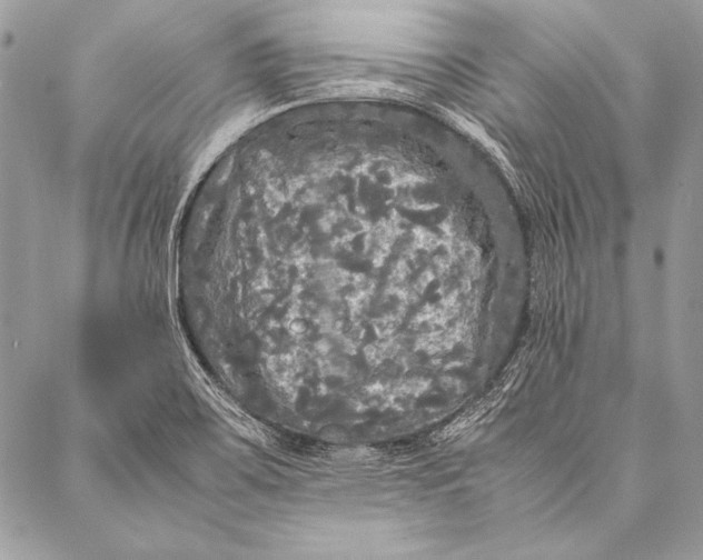 X0000087021467200705071457