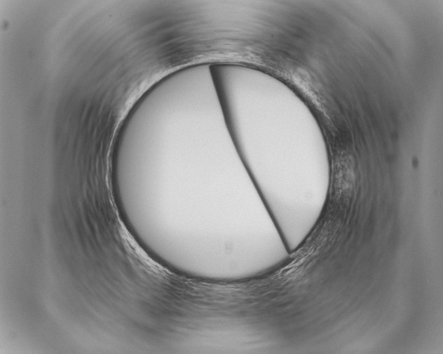 X0000087021468200705071457