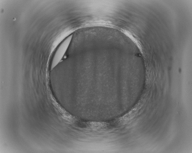 X0000087021469200705071457