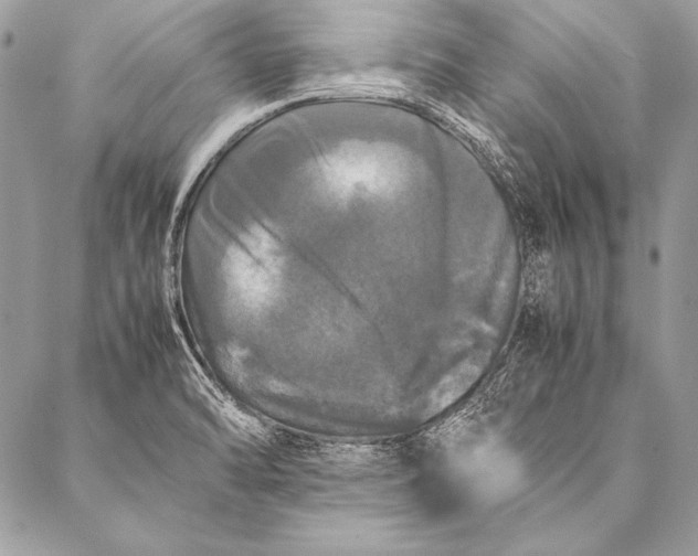 X0000087021470200705071457