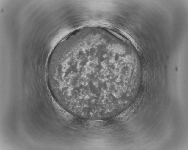 X0000087021471200705071457