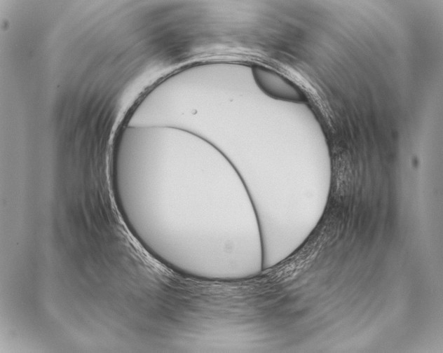 X0000087021472200705071457