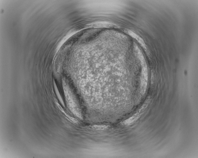 X0000087021473200705071457