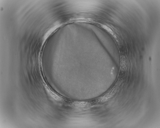 X0000087021474200705071457