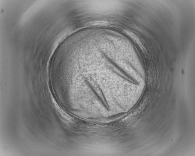 X0000087021475200705071457