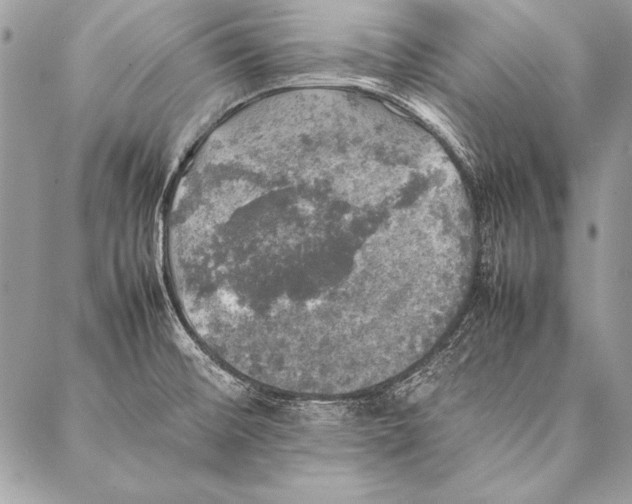 X0000087021476200705071457