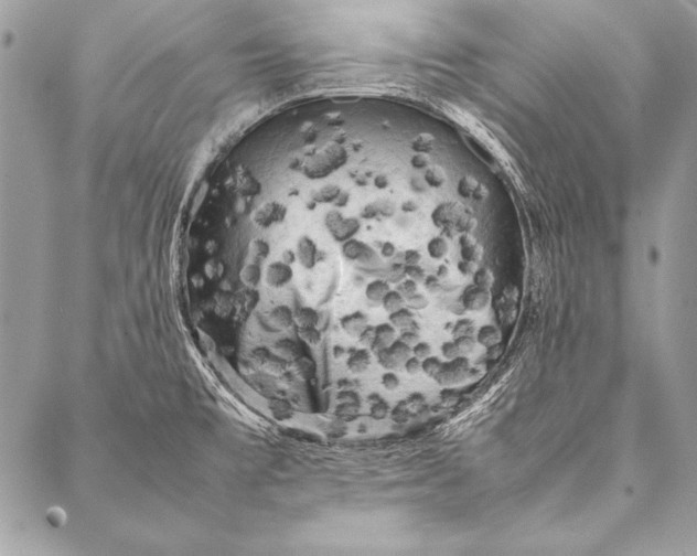 X0000087021477200705071457