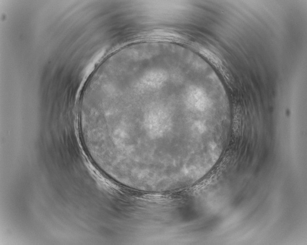 X0000087021478200705071457