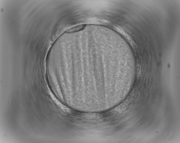 X0000087021479200705071457