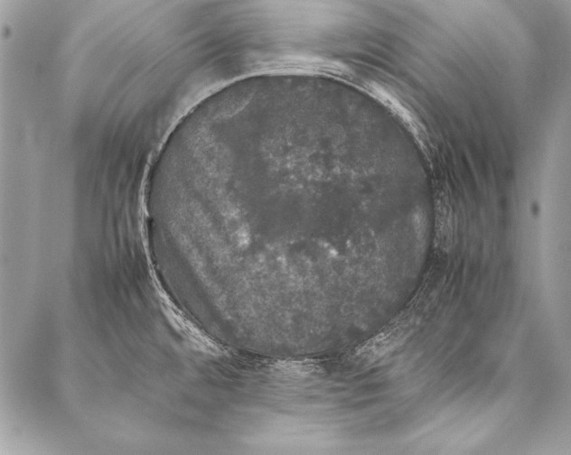 X0000087021480200705071457