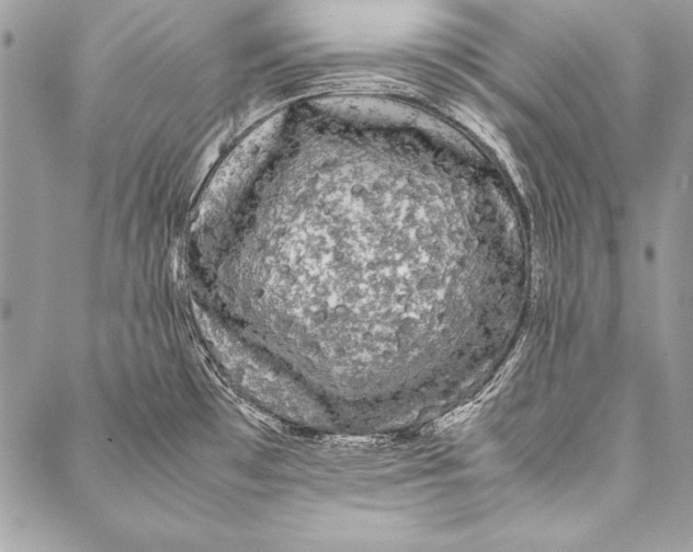 X0000087021481200705071457